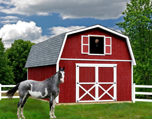 Best Barn Roanoke shed kit
